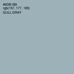 #9DB1B9 - Gull Gray Color Image